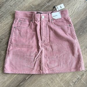 Express skirt